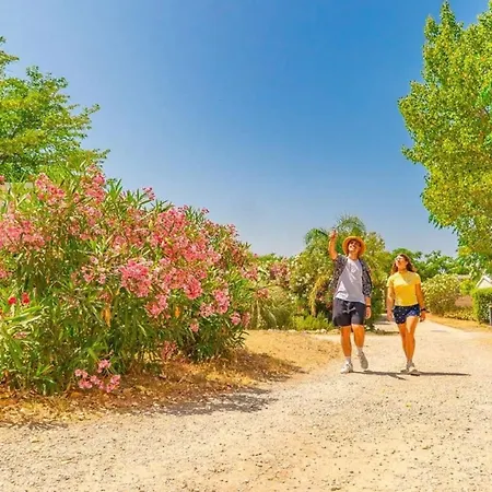 Confortable Avec Climatisation - 8 Pers. - Api-1-52-2766 Campingplads